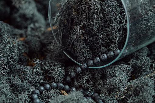 Icelandic lichen and lava necklace. A string of black stone beads in an overturned glass dome surrounded by black reindeer moss.