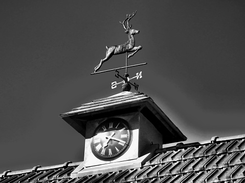 Black and white photo of  a stag weather vane atop a clock tower