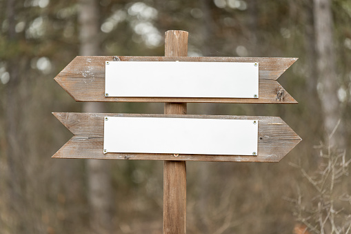 Wooden arrow directional signs with copy space in the forest