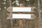 Wooden arrow directional signs with copy space in the forest