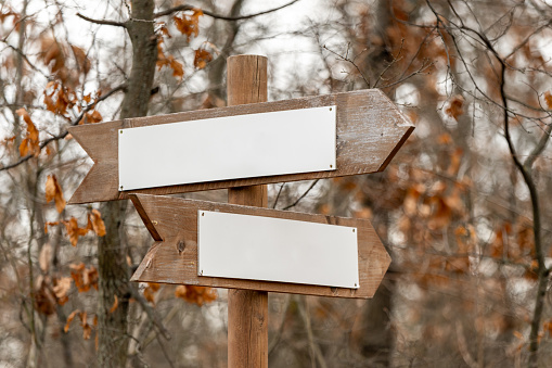 Wooden arrow directional signs with copy space in the forest
