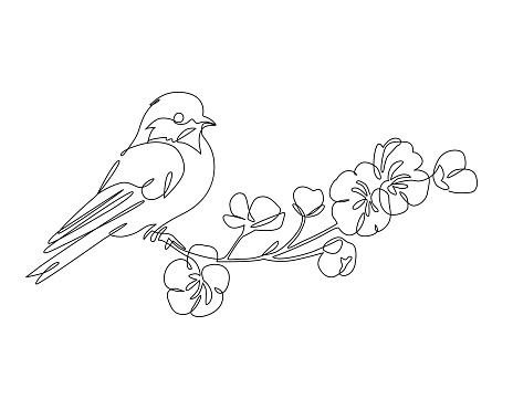 Abstract small bird perched on blooming tree branch. Bird on a branch continuous one line drawing. Cherry flower blossom and perching sparrow. Spring concept line art. Hand drawn vector illustration.