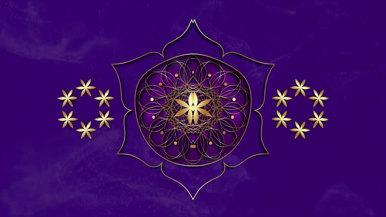 Video animation gold shiny Flower of Life in motion. Golden Lotus Sacred geometry in the moving water wave ripple effect. Model for TV show, intro, movie, stage design. Purple Background