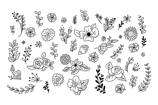 Contour hand drawn doodle set of spring flowers and branches. Sketchy black contour leaves and flowers on white background. Ideal for coloring pages, tattoo, pattern