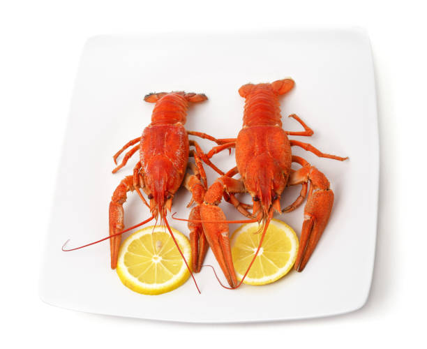 istock Two boiled crayfish with slices of lemon. 2005863466