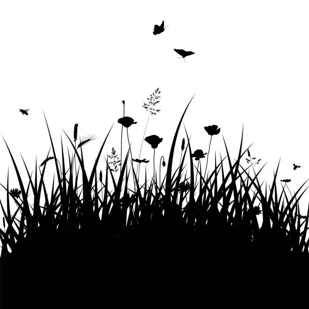 Vector illustration of Meadow vector illustration with grass silhouette on isolated background. Cute natural scenery of a countryside landscape. Herbs, weeds, lawn, flowers and insects. Easter, ecology or spring background.