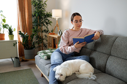 Young girl reading book while sitting on a sofa with her cute  dog next to her