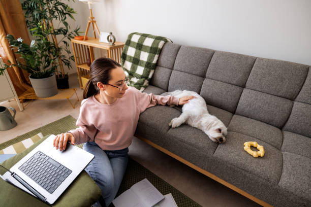istock Young beautiful female student using laptop while petting her cute little dog 2005885657
