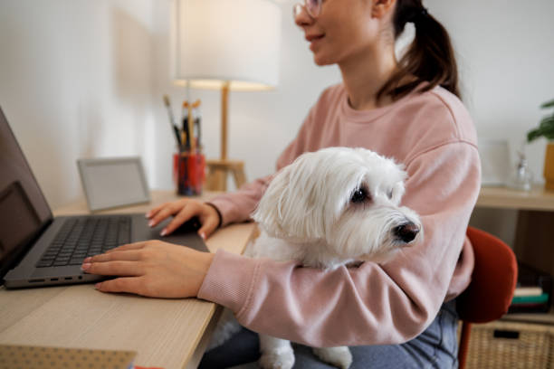 istock Young girl using laptop while holding her cute little dog in lap 2005886732