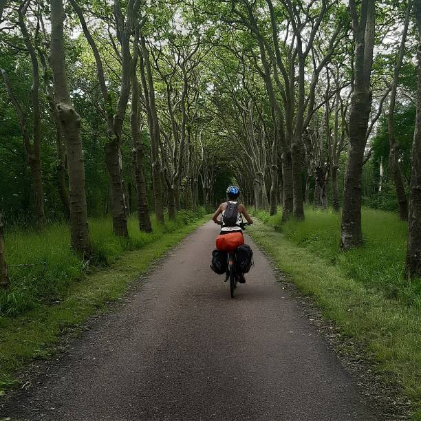 bicycle in the forest - côte d'or zdjęcia i obrazy z banku zdjęć