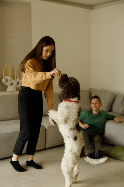 istock Brother and sister play with their dog 2005904310
