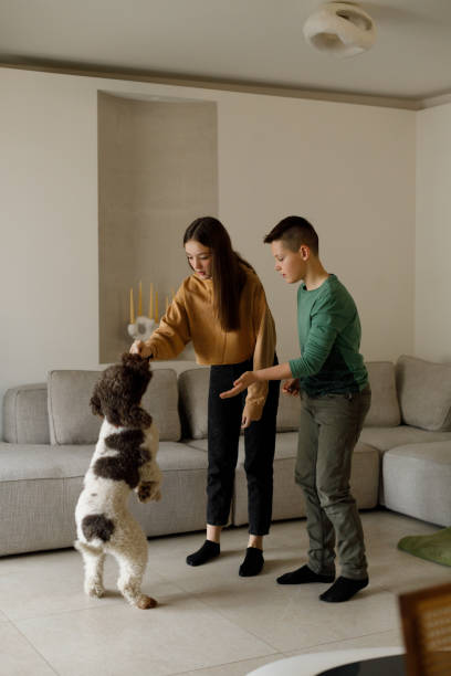 istock Brother and sister play with their dog 2005904835