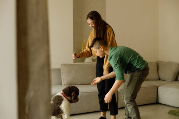 istock Brother and sister play with their dog 2005905344