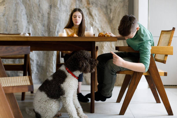 istock Morning in the kitchen with our dog 2005913503