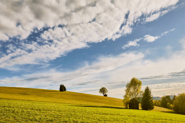 sunny spring day stock photo