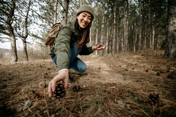 Woman in the forest and looking at a pine cone