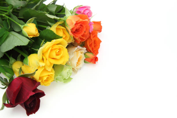 istock Bouquet of roses isolated on a white background. 2006011836