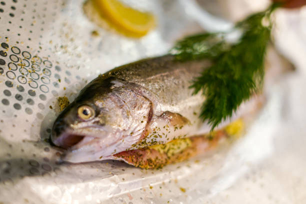 Preparing trouts with lemons butter and green dill. Close up.