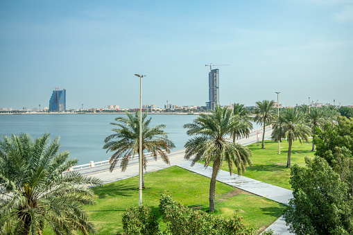 Dammam coastline corniche park with palms and developing city in the background, Saudi Arabia