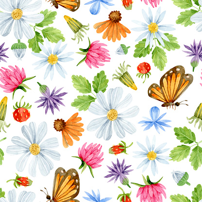 Watercolor seamless pattern with wildflowers, daisies, clover flowers, dandelions, cornflowers, strawberries and butterflies