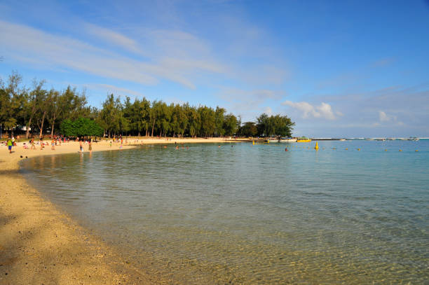 Blue Bay, Grand Port district, Mauritius: long golden beach with crystal-clear waters, framed by casuarina trees, base for exploring the Blue Bay Marine Park, a 353 hectare protected area, where divers will find rare corals and exotic fish species (a \