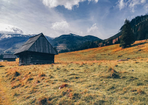 istock Chocholowska Valley in autumn - Tatra Mountains 2006182049