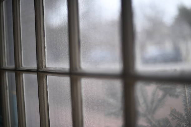 A simple photo, nostalgic, elegant, thought-provoking, emotional