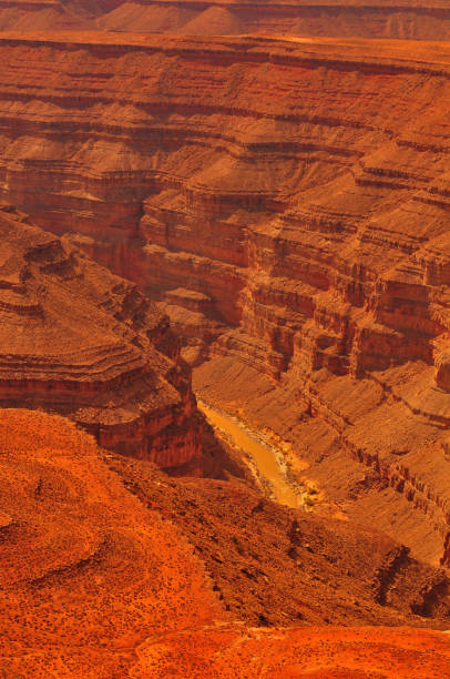 les cols de cygne de la rivière san juan vus de muley point - moki dugway photos et images de collection