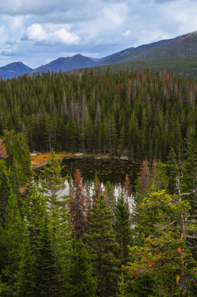 Early fall on Nymph Lake Early fall on Nymph Lake, Rocky Mountain National Park, Estes Park, Colorado, USA. lily lake rocky mountains colorado stock pictures, royalty-free photos & images