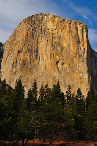 The famous sheer granite face of El Capitan and the woods beneath, Yosemite National Park, California, USA.