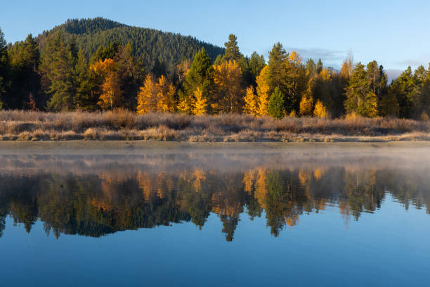 cores do outono refletidas em um lago no parque nacional grand tetons - nature reflection grand teton teton range - fotografias e filmes do acervo