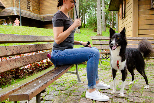 Woman in the park with her Border Collie dog