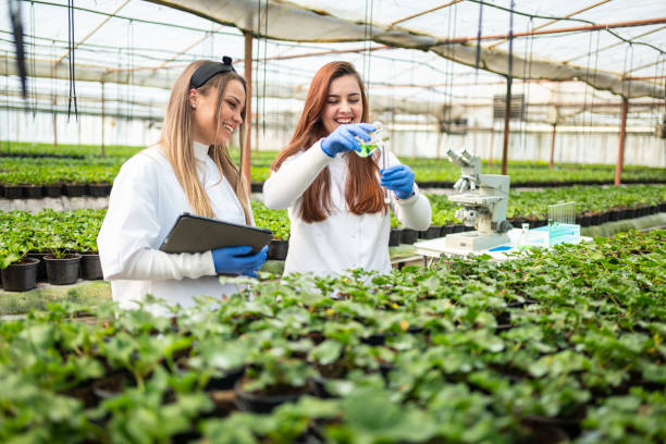 istock Smart farming. Female scientists working in greenhouse laboratory. 2006310740