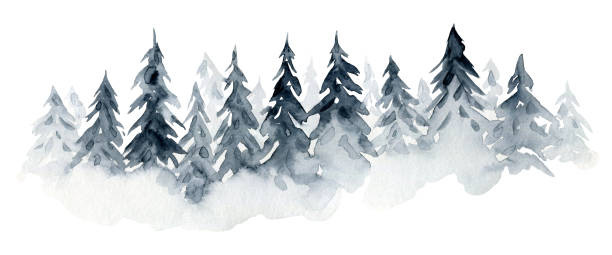 Mist gray blue watercolour fir forest landscape Mist watercolor illustration of textured gray blue coniferous fir forest landscape. Monochrome foggy pine trees texture for winter Christmas design, print, north landscape banner green painted wood texture stock illustrations