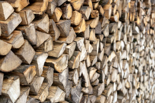 istock Pile of stacked firewood 2006336728