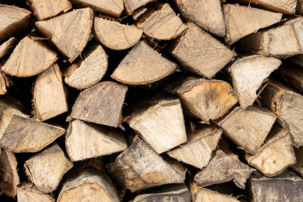istock Pile of chopped and stacked firewood 2006336729