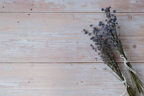 istock Dried lavender flowers on wooden background. Copy space for your text. Advertisement mock up 2006362510