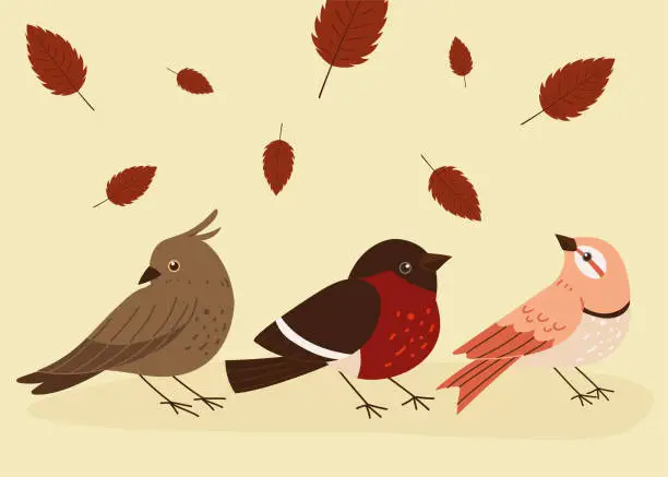 Vector illustration of birds and dry leaves