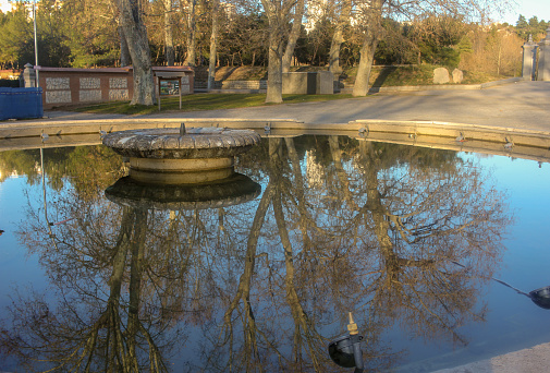 reflection of some trees in a pond in Madrid, Spain