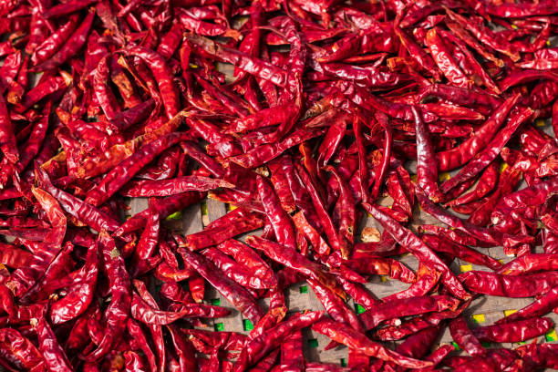 istock Closeup dried chili at the farm 2006423138