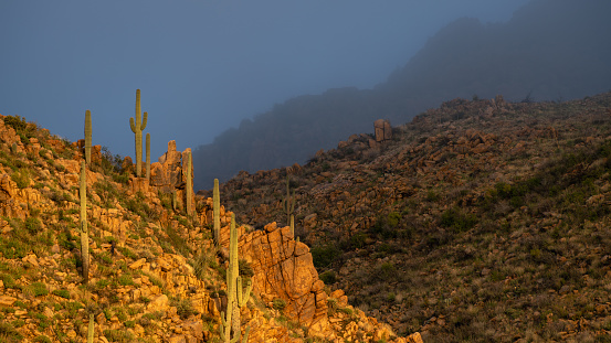 Sunset illuminates the boulders and saguaros of Tonto National Forest