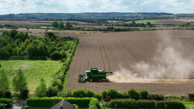 Drone view of Harvesting wheat harvester
