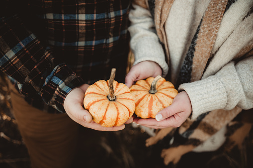 Two small baby pumpkins in man and woman's hands