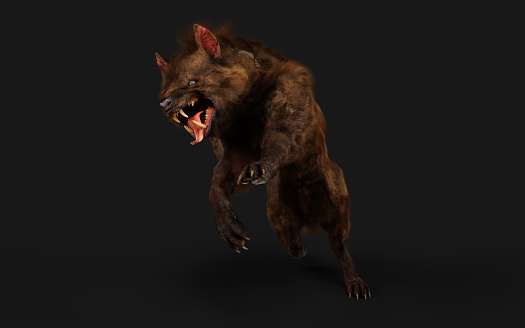 3d Illustration of a devil wolf pose on black background with clipping path. It is powerful and dangerous with a wild appearance.