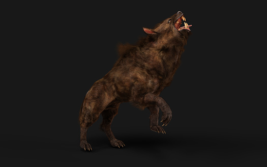 3d Illustration of a devil wolf pose on black background with clipping path. It is powerful and dangerous with a wild appearance.