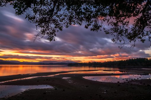 Dramatic sunset at Patricia Bay, located on southern Vancouver Island.