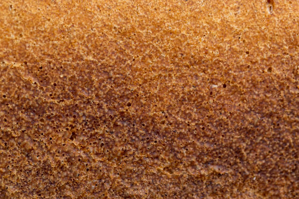black square rye bread, close-up of a loaf of dark rye sour bread in the kitchen