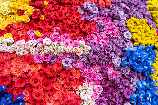 Multi-colored flowers arranged in designs on a float for the Pasadena Rose Parade