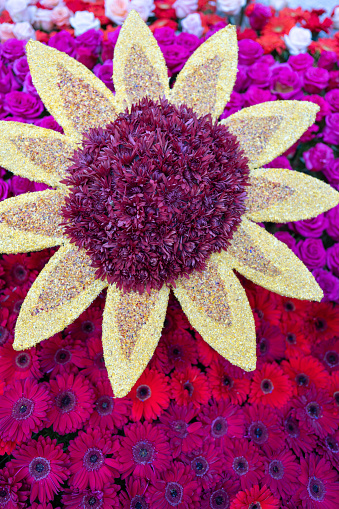 A sunflower design made of fresh flowers on a float for the Pasadena Rose Parade.