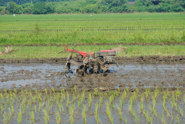 istock A farmer ploughing machine in Indonesia. 2006788342